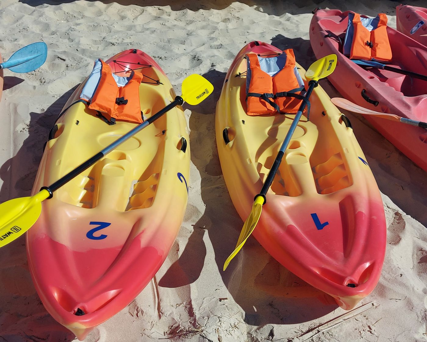 Pedras-d-el-Rei-Sports-and-Entertainment-67