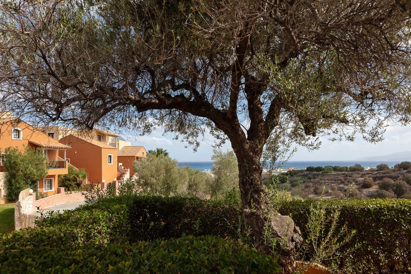 Dia-Apts-General-view-23