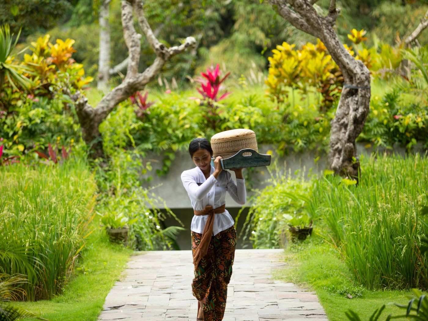 Adiwana Suweta-Indonesia-Ubud-General view-4