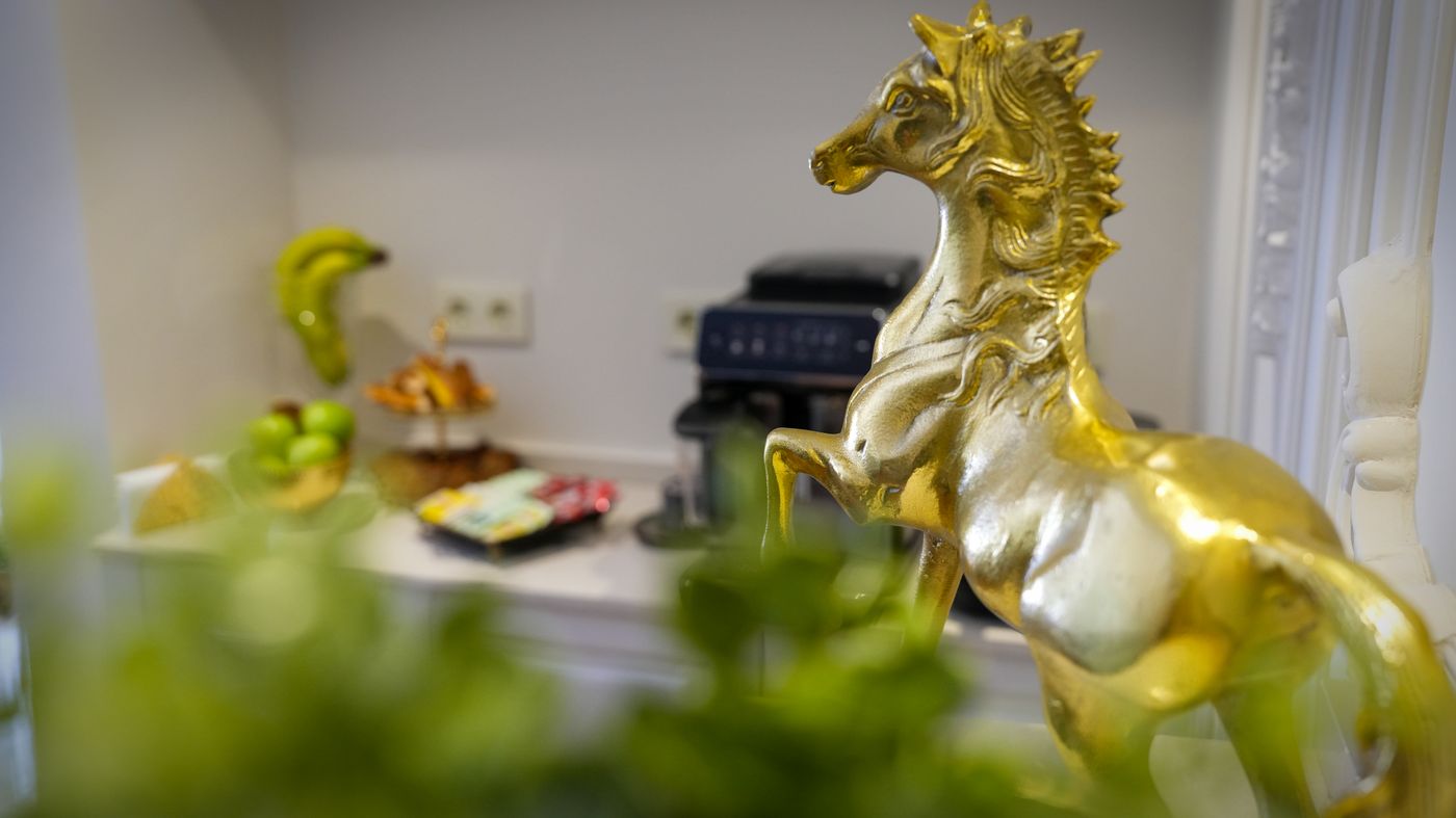 Gaia Suites Istanbul-Turkey-Istanbul-Lobby-7