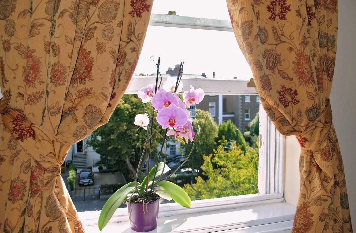 Waterloo-Lodge-Room-3