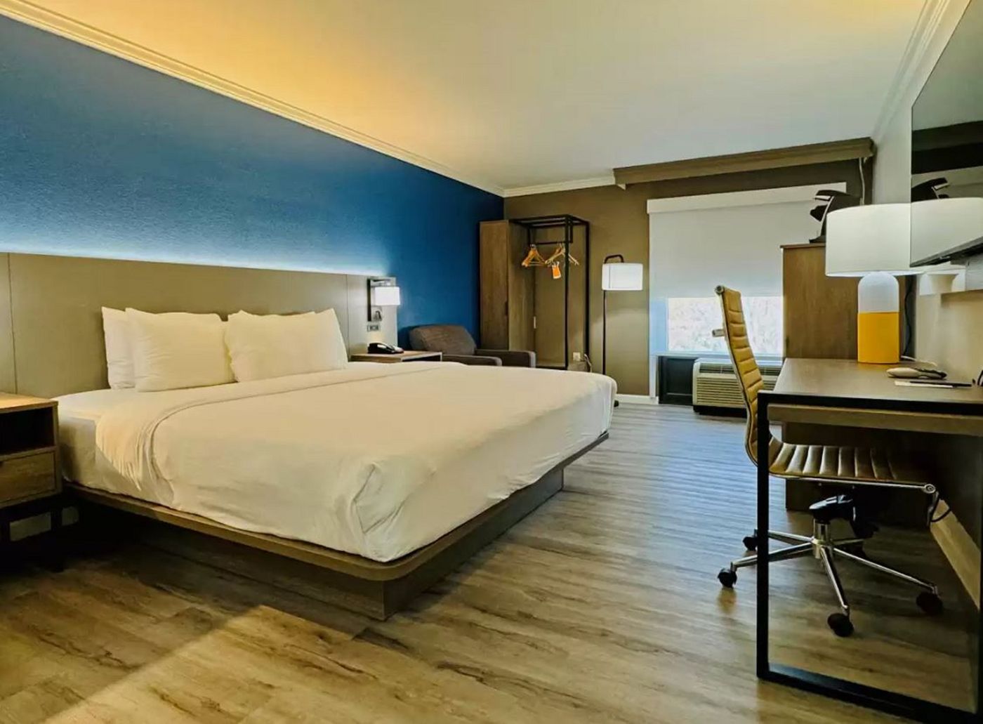 Comfort Inn Suites Houston I 10 West Energy-United States-HOUSTON-Room-4