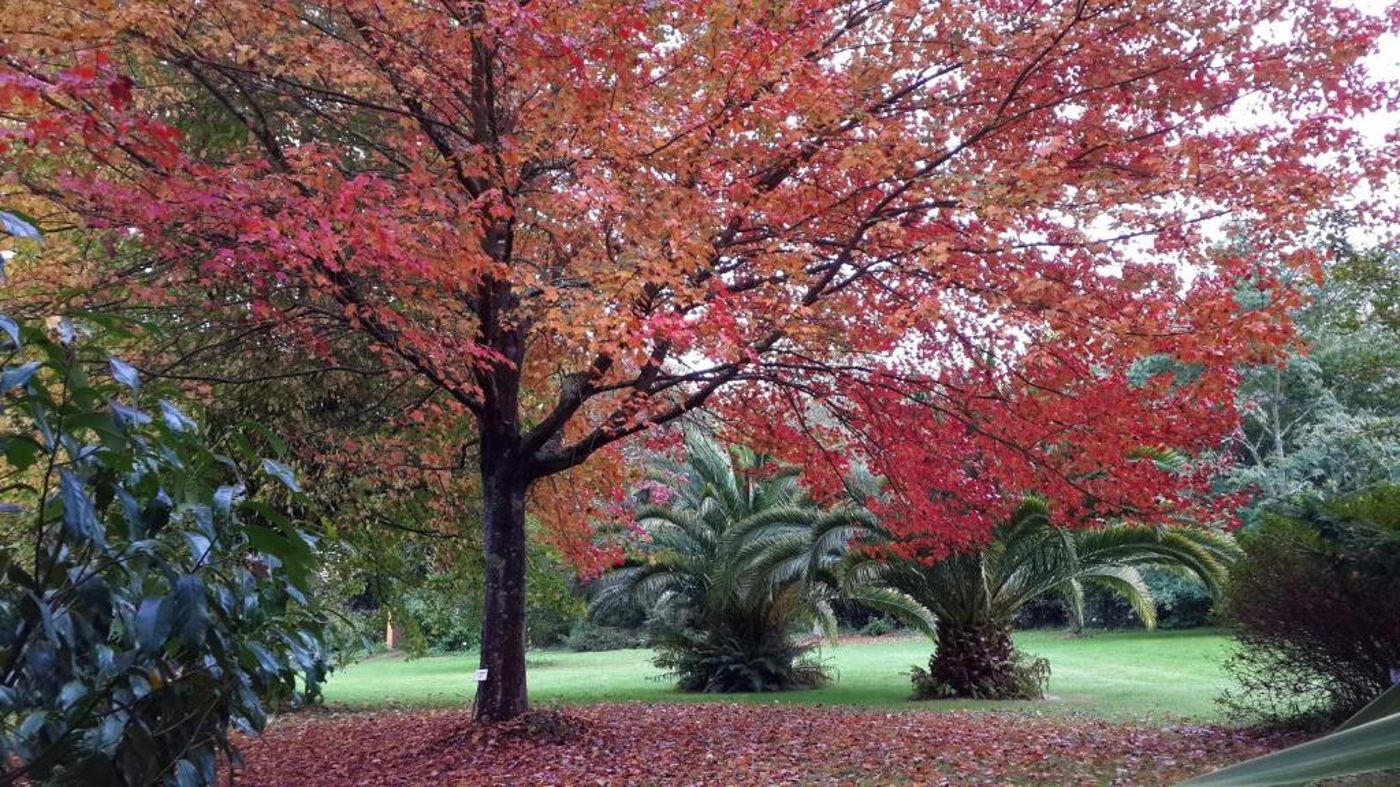 El Habana-Spain-LLANES-General view-2