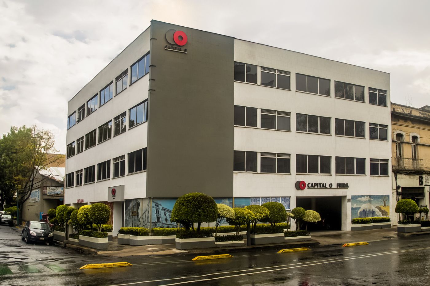 Ayenda Frida Costa Azul-Mexico-Mexico-City-General view-3