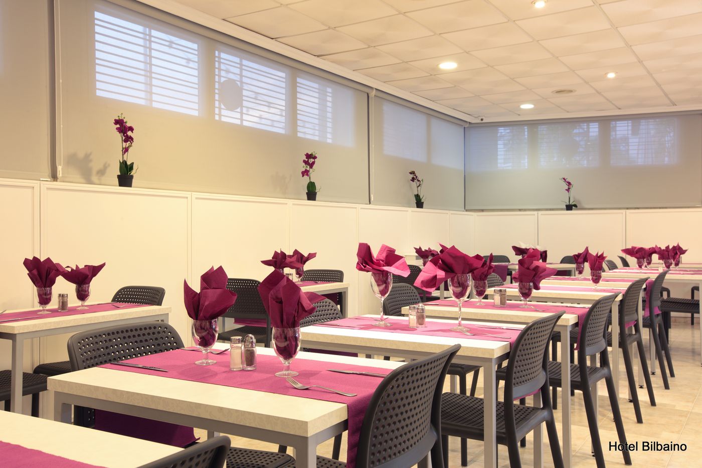 Bilbaino-Restaurant-10