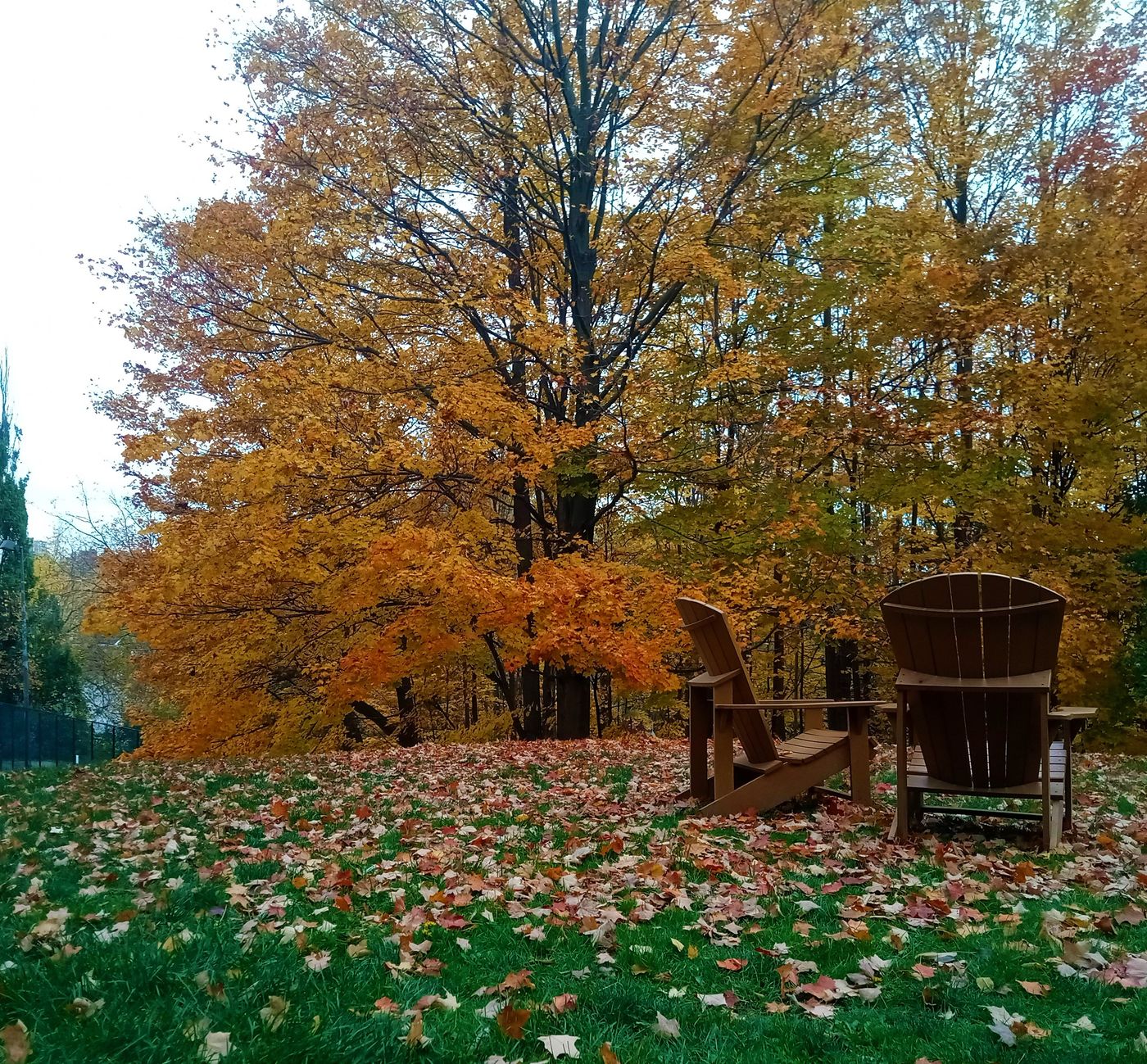 Pan Pacific Toronto-Canada-TORONTO-General view-3