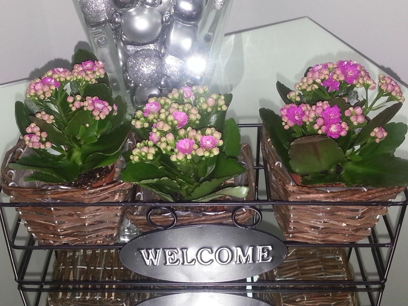 Nuovo Nord - Italy - GENOA  - Lobby - 8