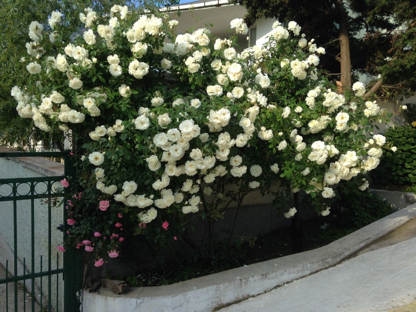 Hotel-Zora-Terrace-27