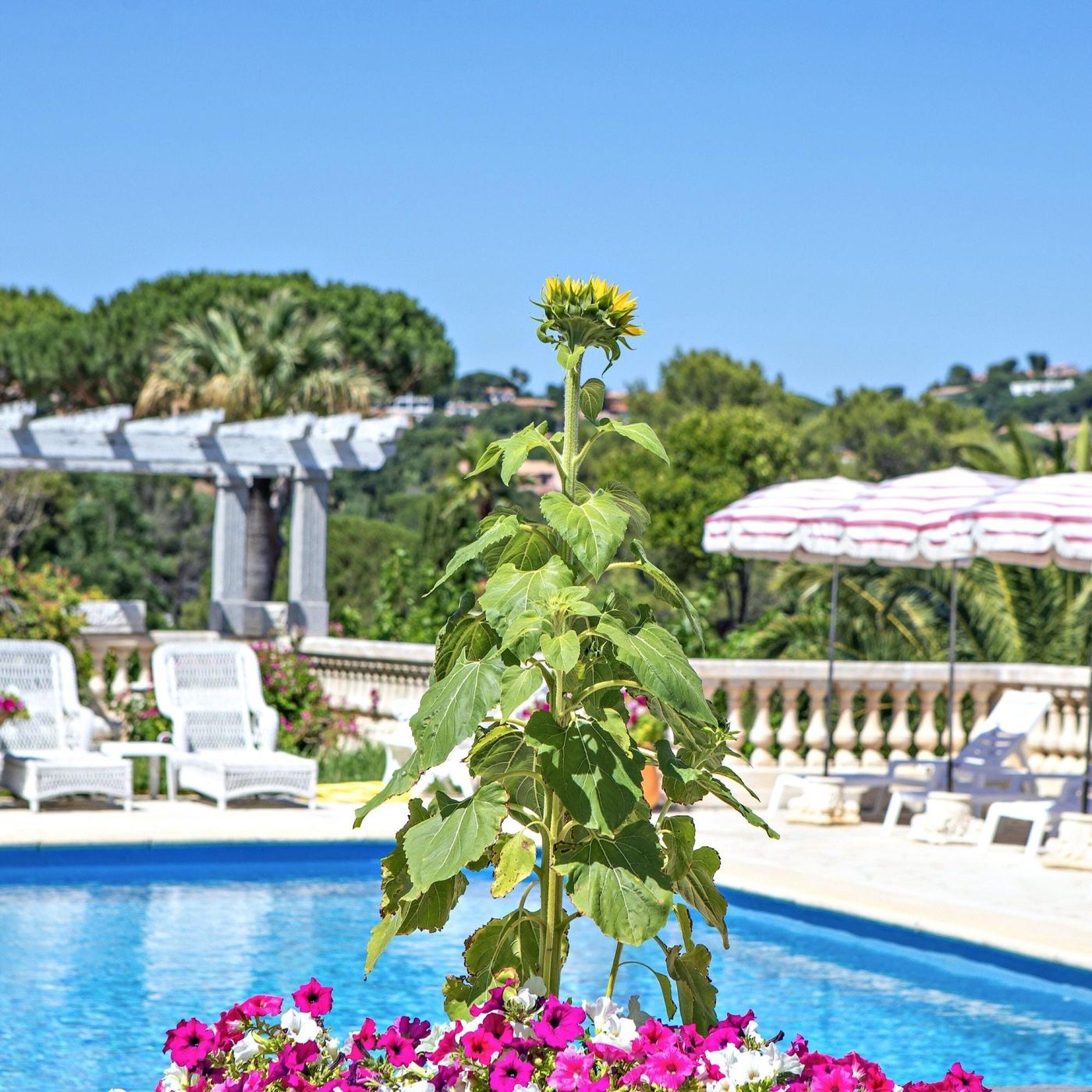 Chateau-de-Mei-Lese-Sports-and-Entertainment-8