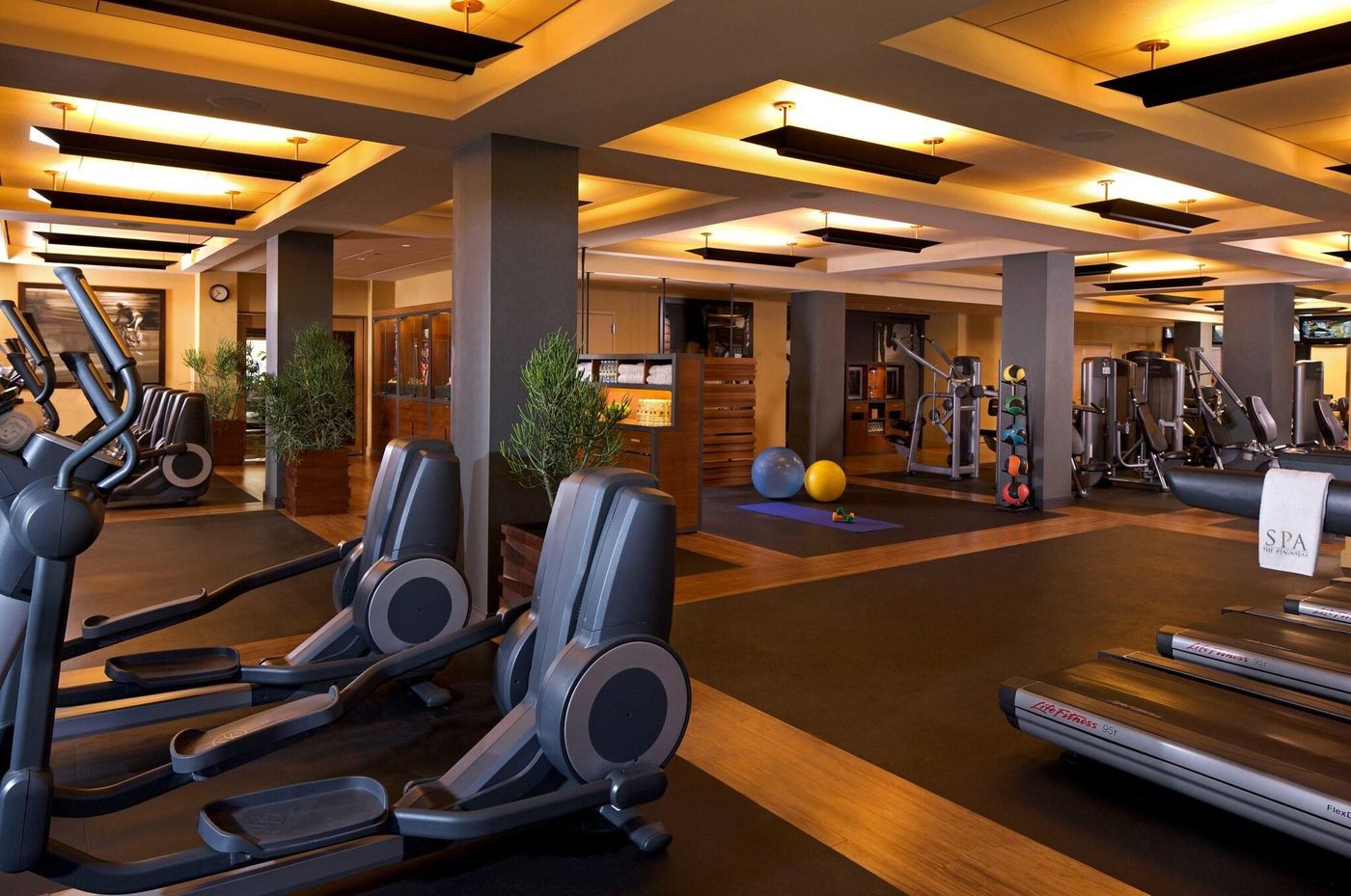 The-Peninsula-New-York-Sports-and-Entertainment-49