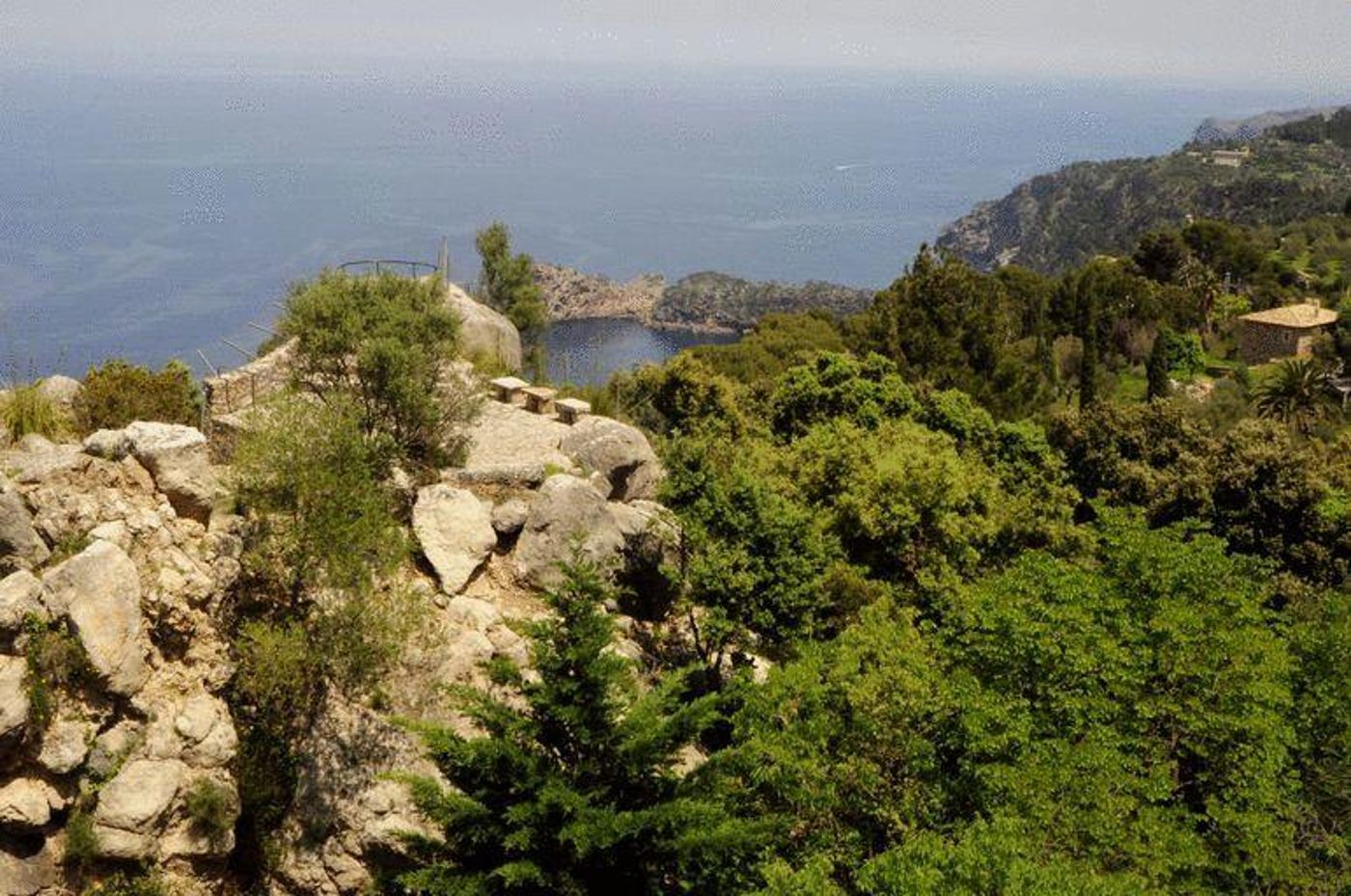 CONTINENTAL VALLDEMOSSA (EX ENCINAR)