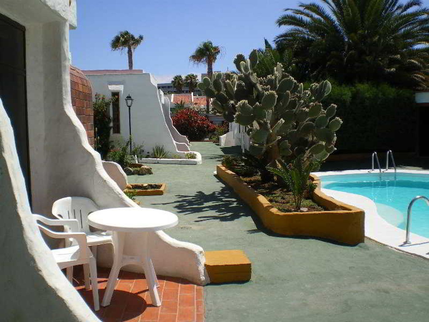 Tenesoya--Gay-Men-Exclusive--Pool-1