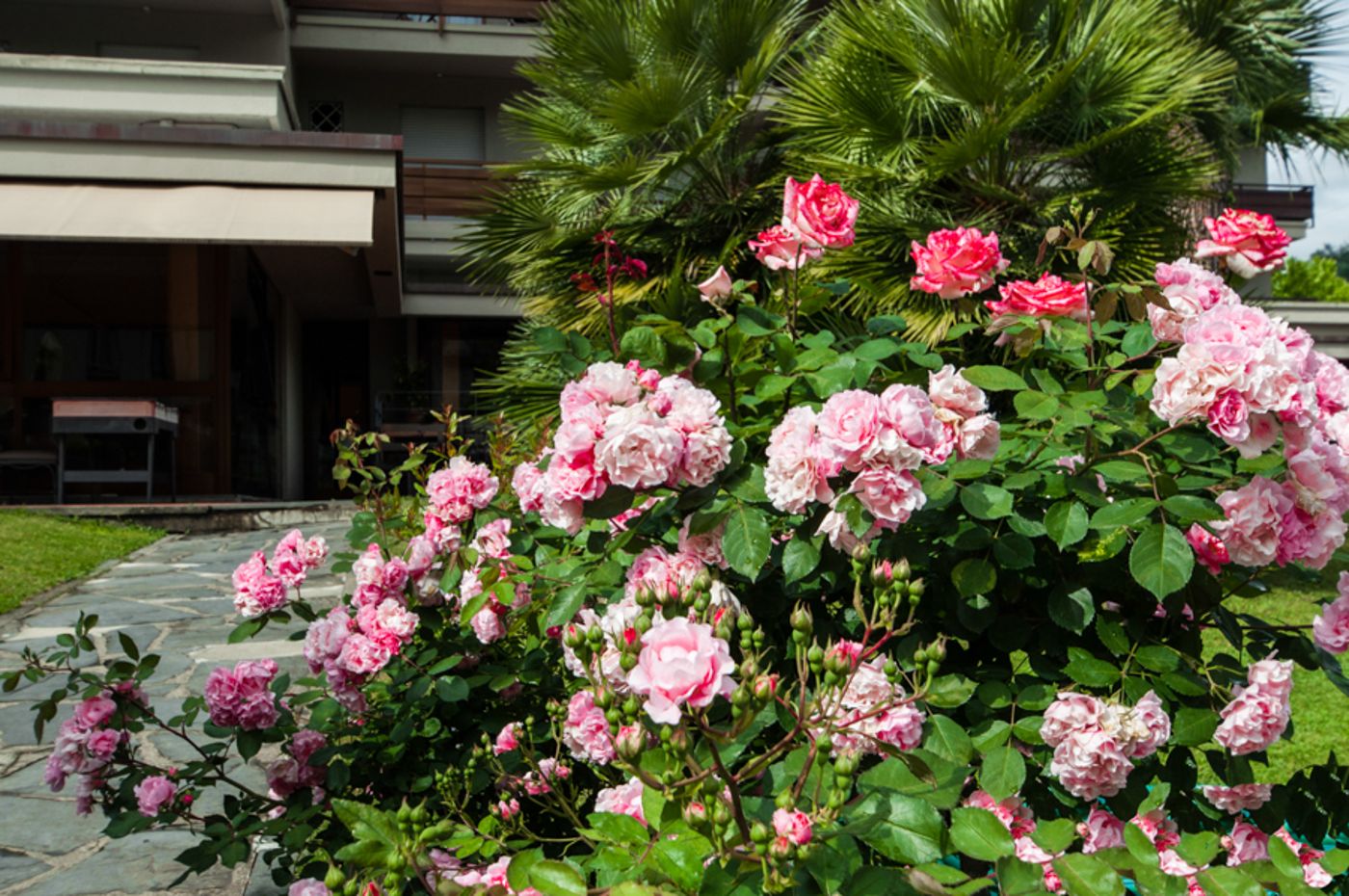 Michelangelo---Spa-General-view-63