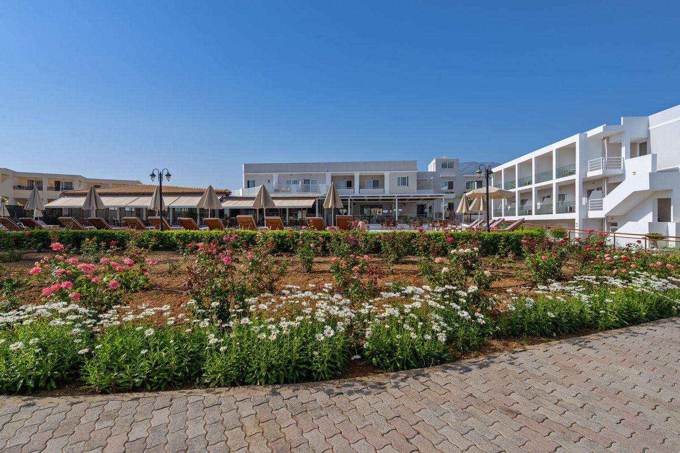 Delfina-beach-General-view-13