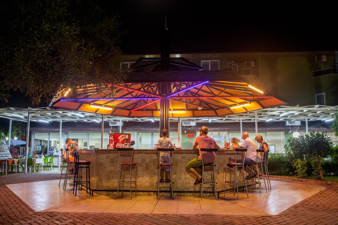 Lonicera--World-Bar-27