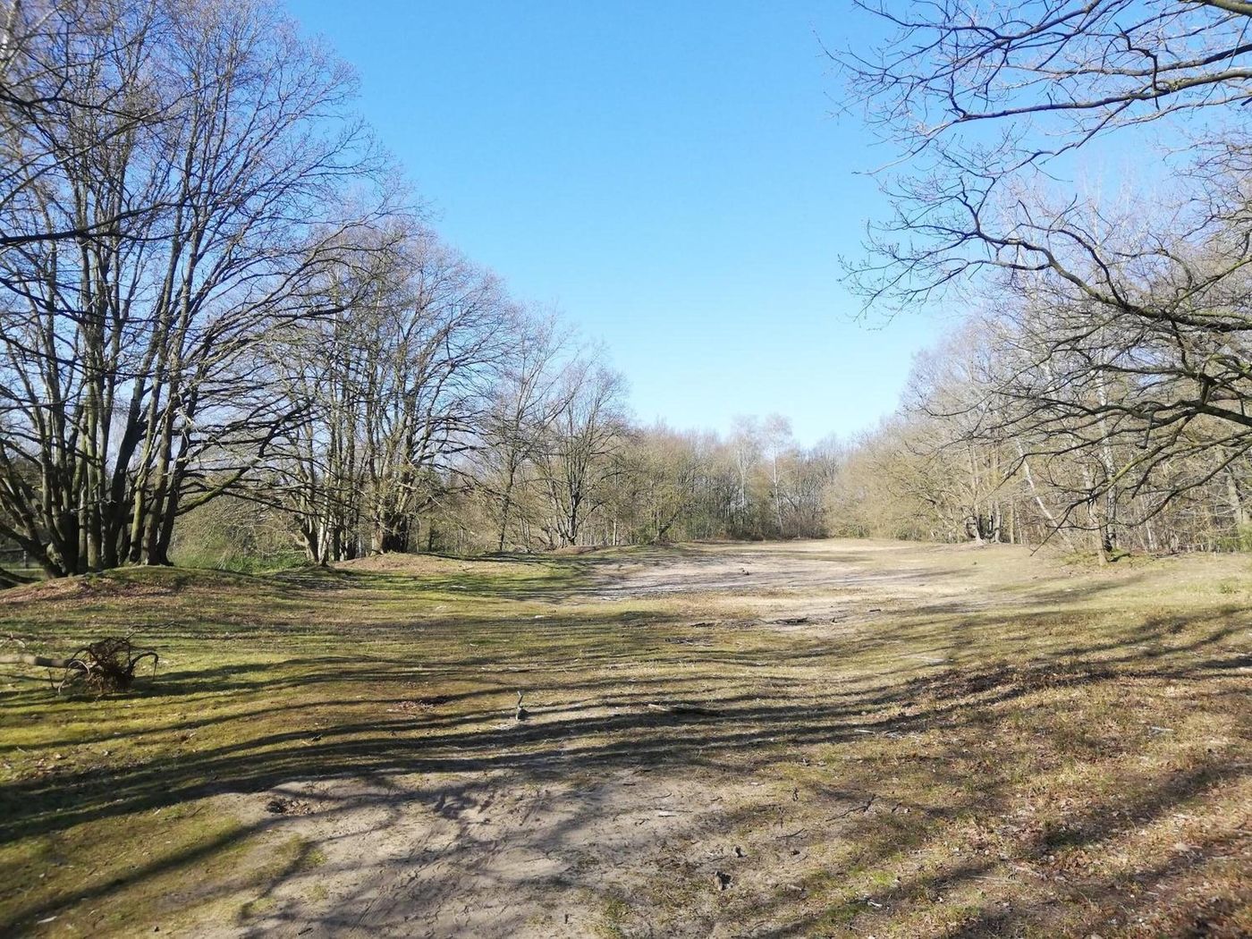 B&B De Stuifduinen-Belgium-WETTEREN-General view-6