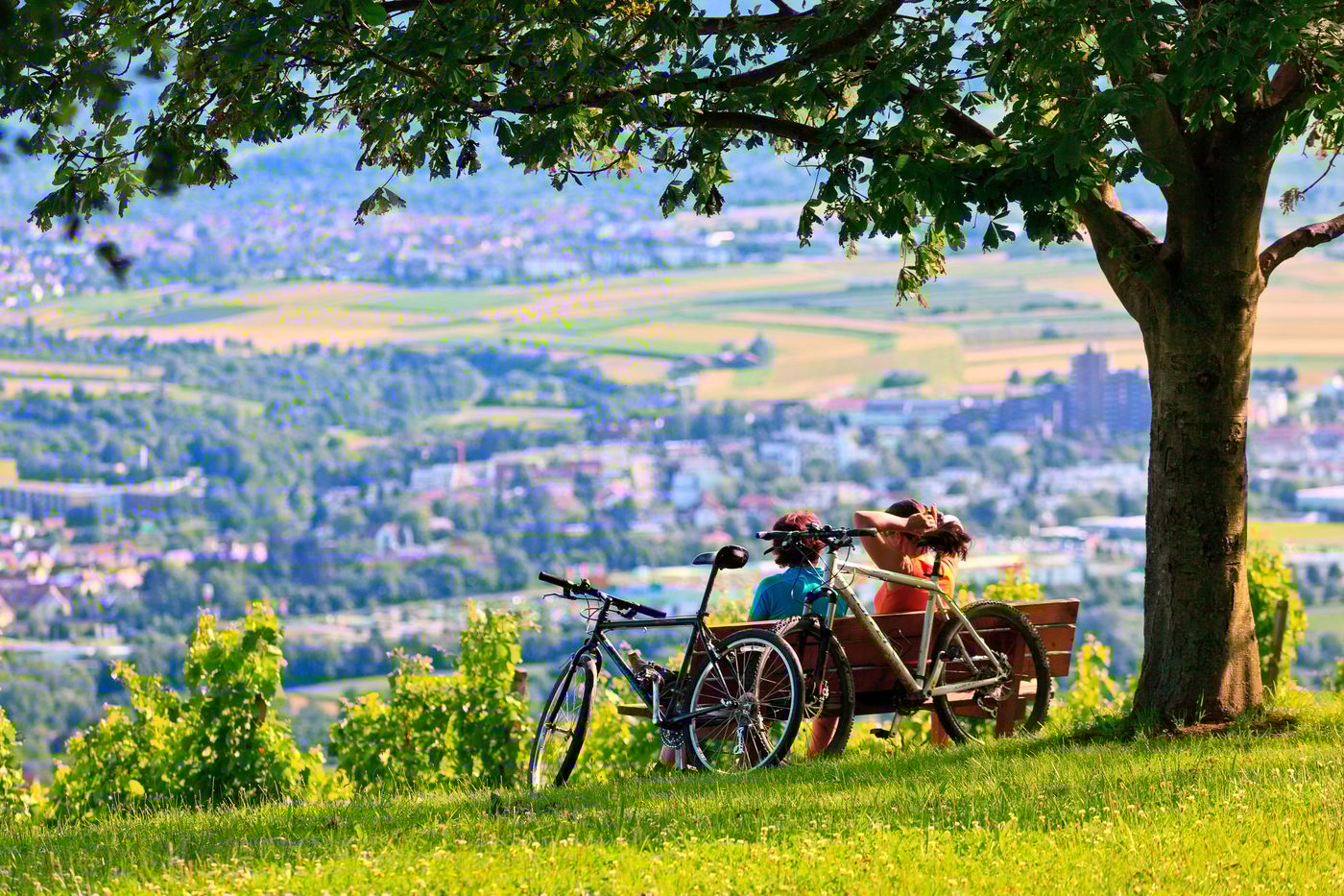 Holiday Inn Express Stuttgart - Waiblingen-Germany-Waiblingen-General view-2