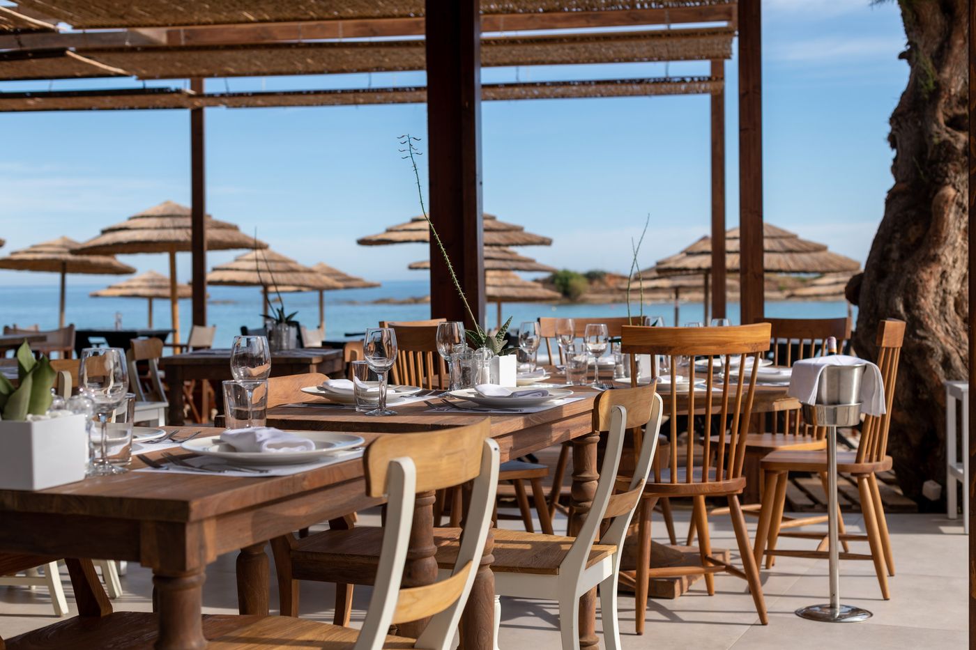 High Beach White - Adults Only