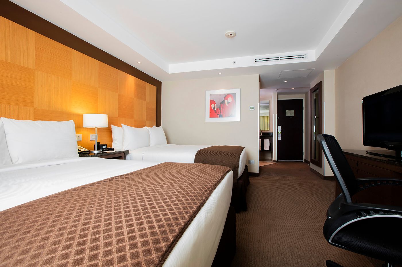 Krystal Urban Aeropuerto Cd de Mexico-Mexico-DISTRITO FEDERAL-Room-7