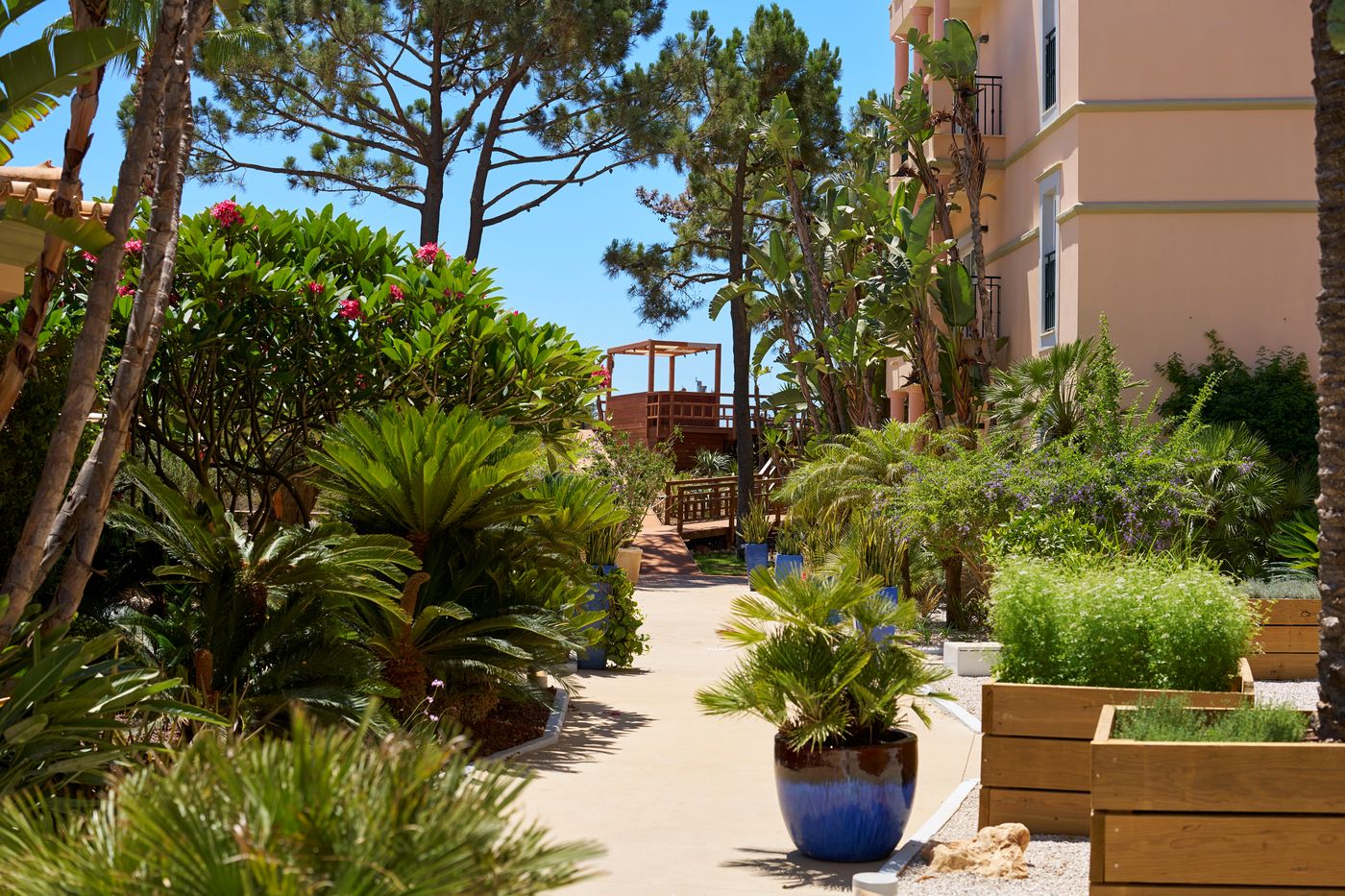 TUI-Blue-Falesia-General-view-11