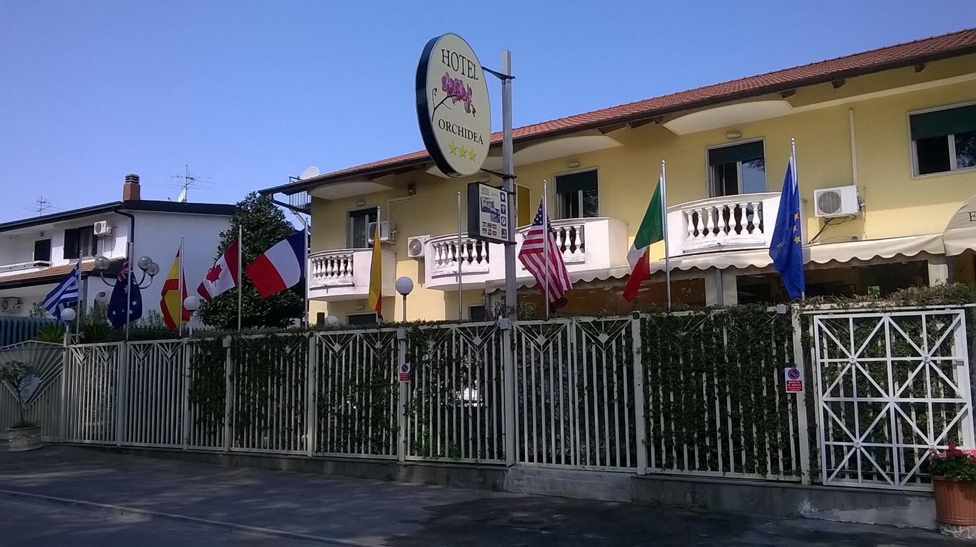 Orchidea - Italy - Giugliano in Campania - General view - 1