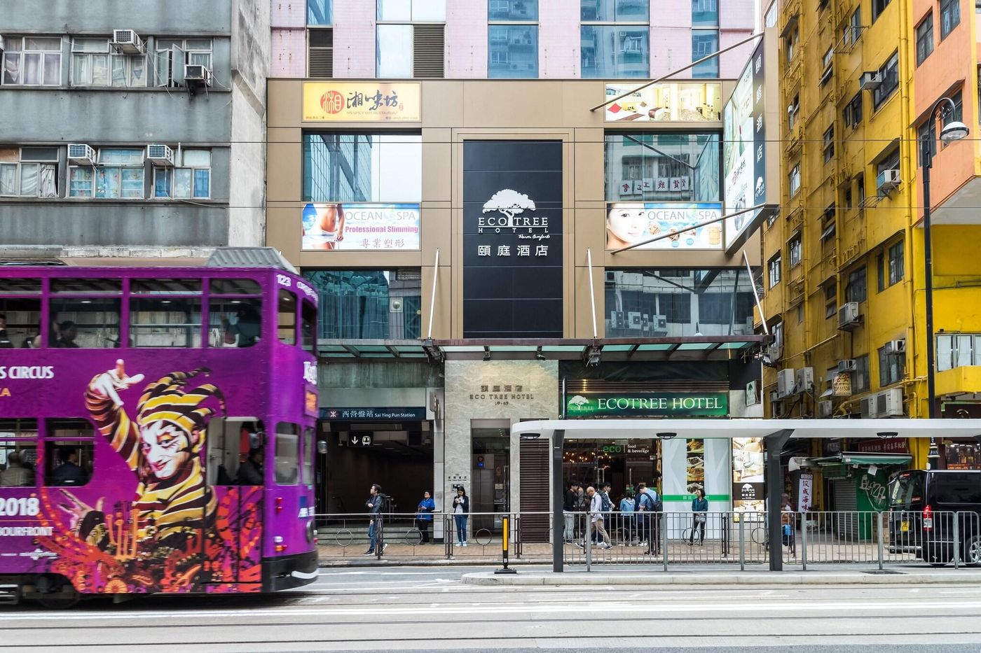 Eco-Tree-Hotel-General-view-1