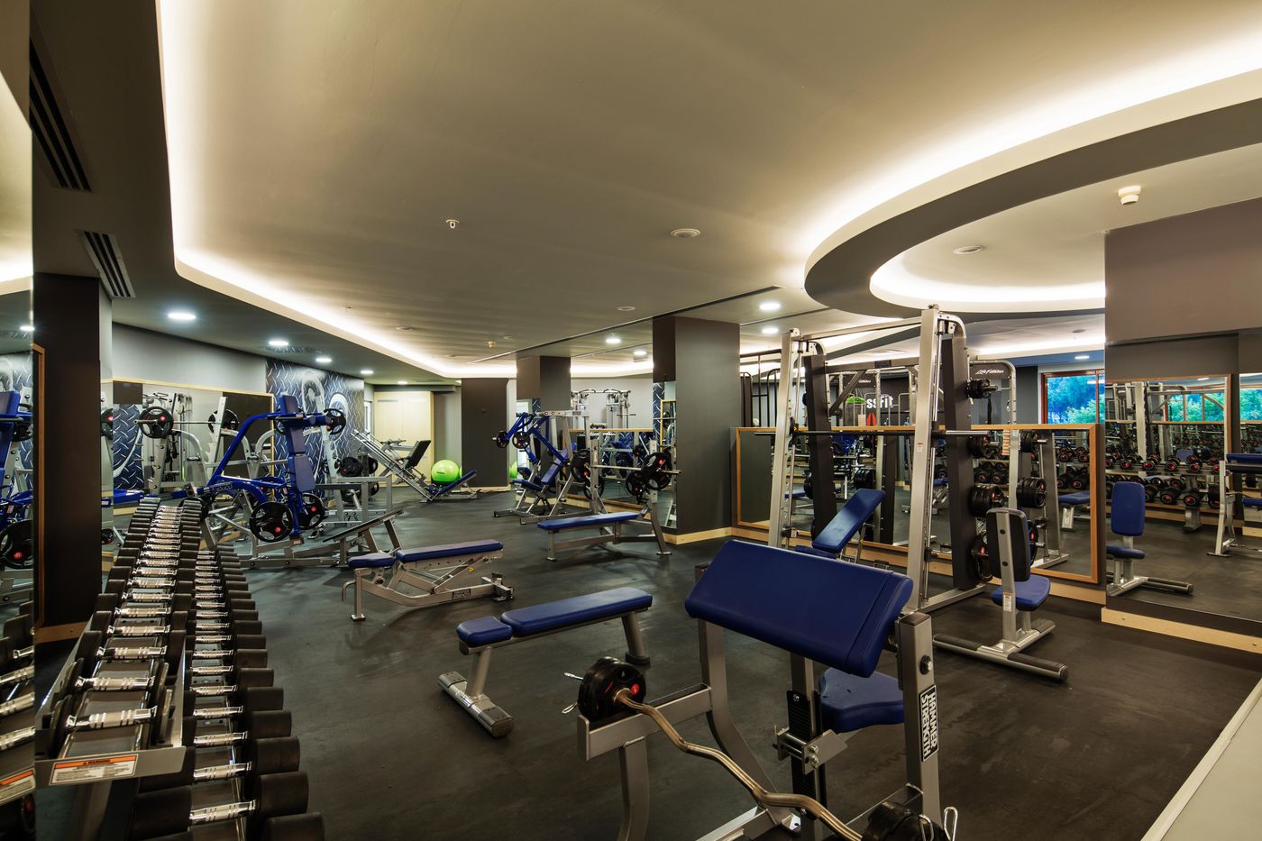 Papillon-Belvil-Sports-and-Entertainment-98