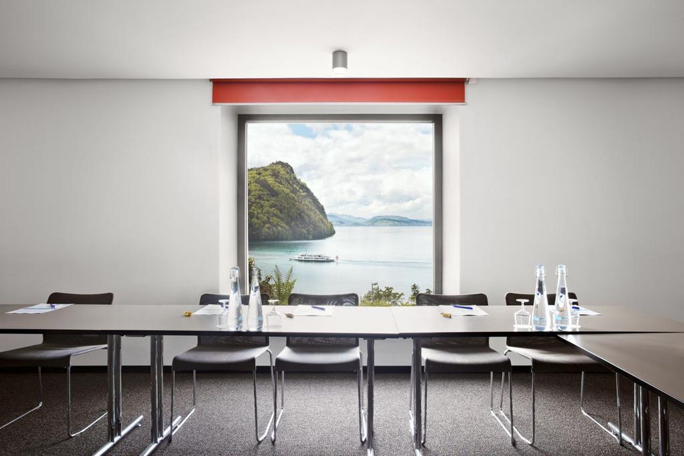 Flora Alpina-Switzerland-VITZNAU -General view-4