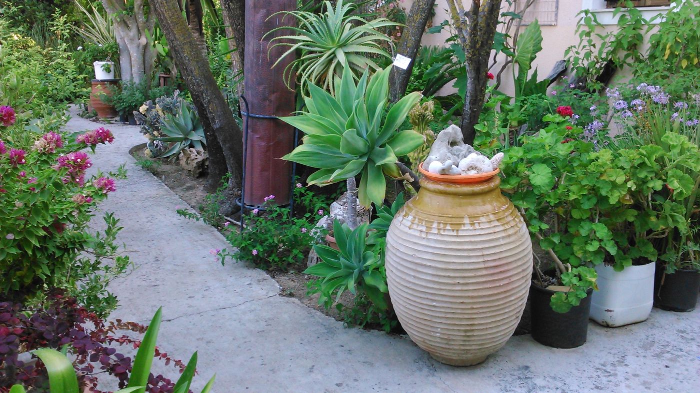 Baha-Ammes-General-view-15