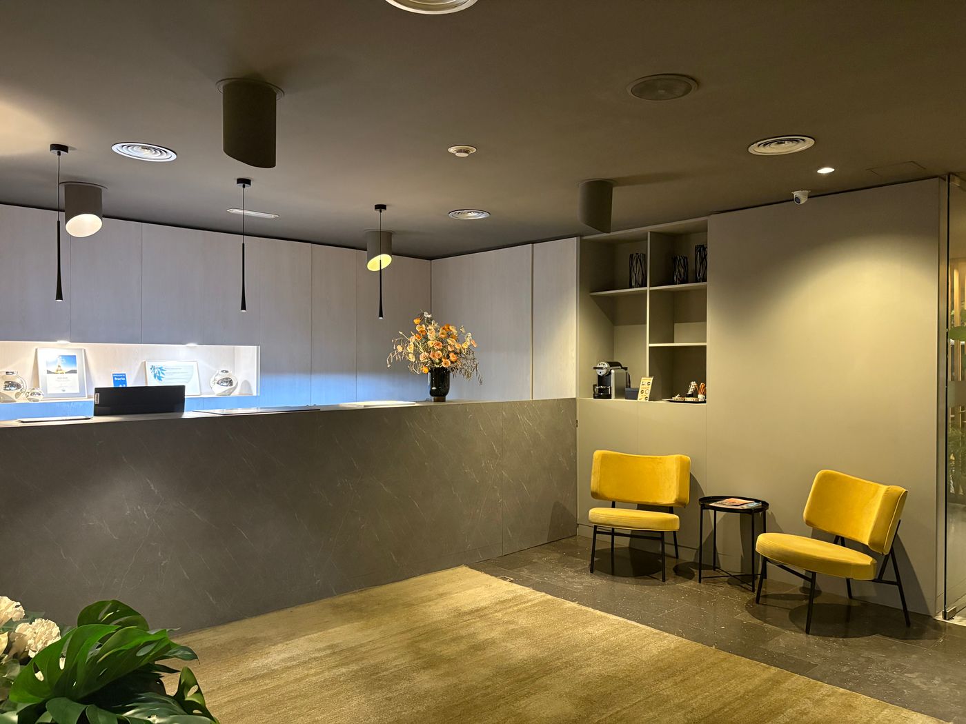 Nuria-Lobby-29
