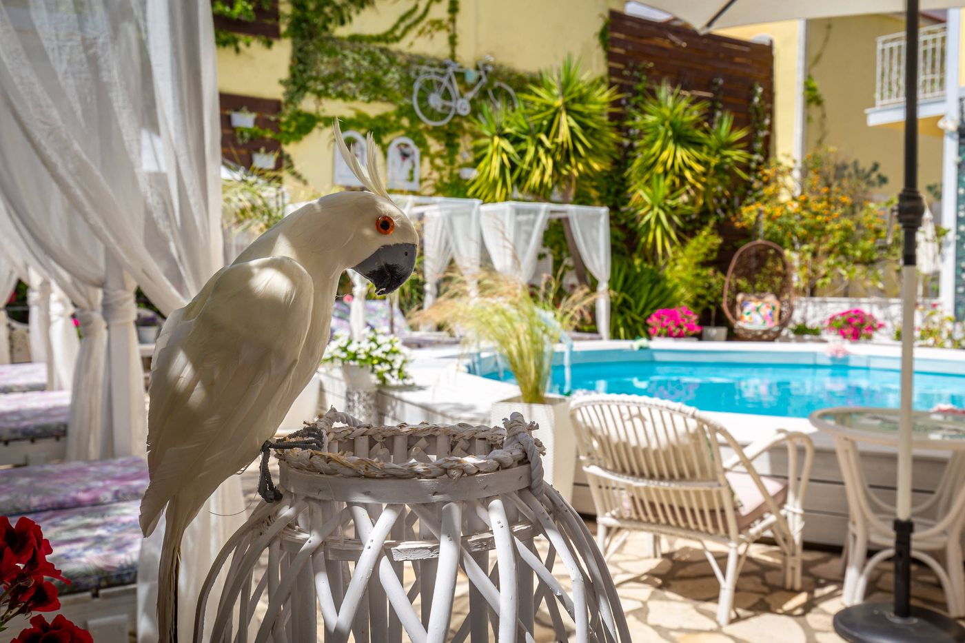 V.A. Boutique Apartments & Suites