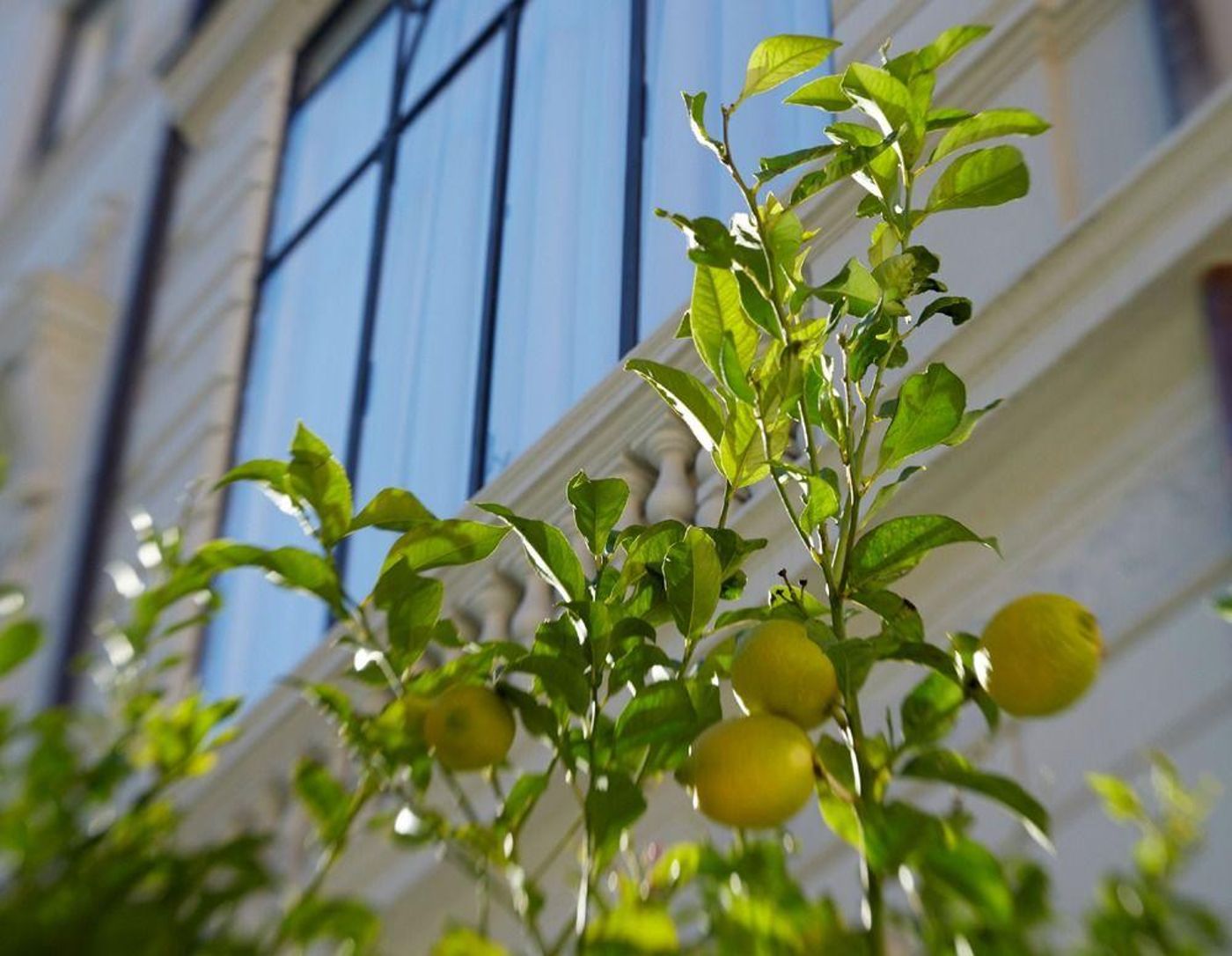 Palazzo-Dama-General-view-57