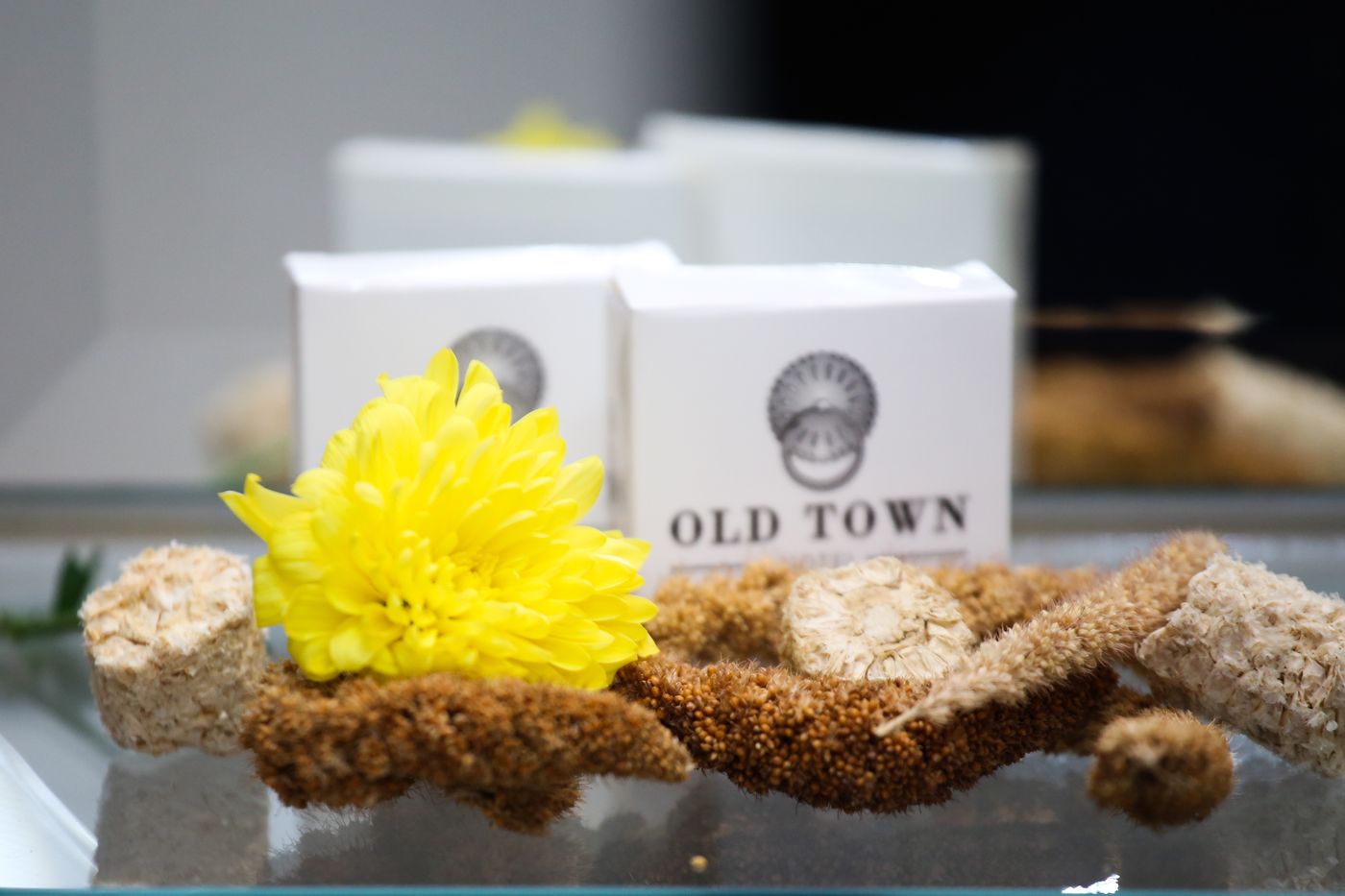 Old Town-Bosnia & Herzegovina-SARAJEVO-Room-5