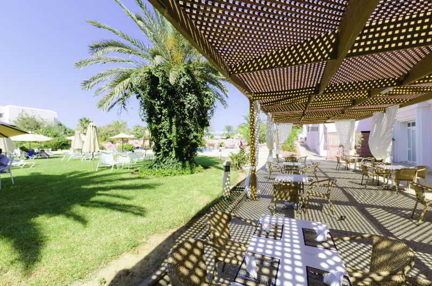 Regency-Tunis-Hotel-Terrace-3
