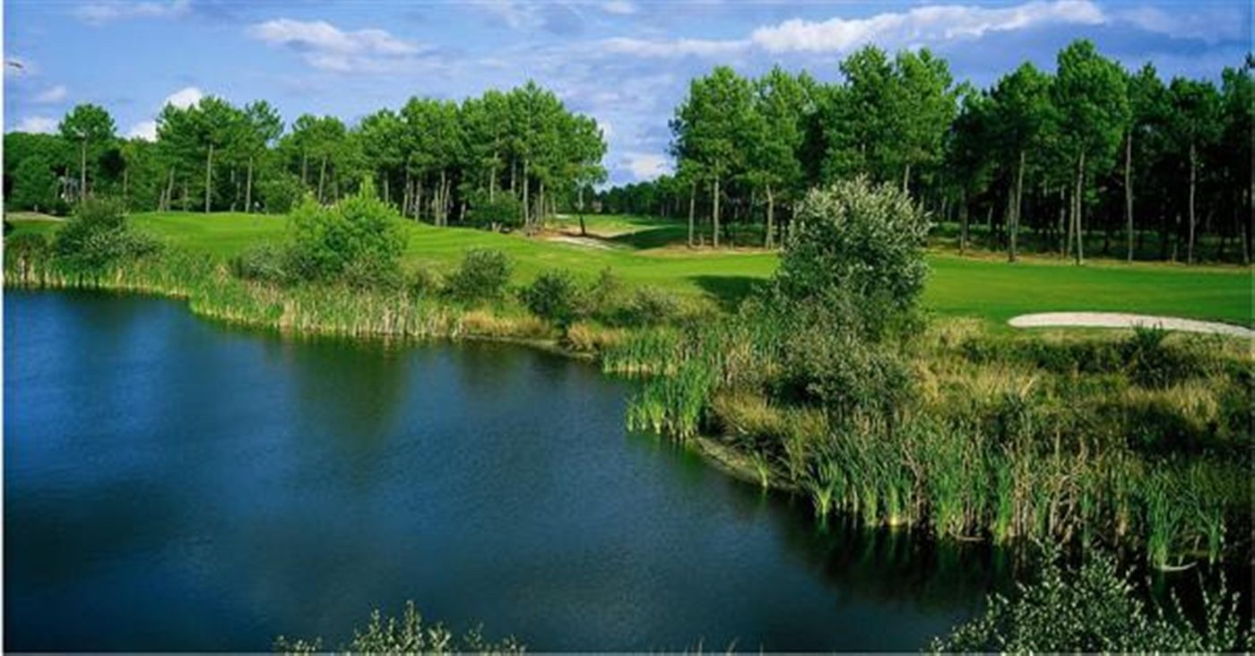 Holiday Inn Bordeaux Sud Pessac - France - PESSAC - General view - 5