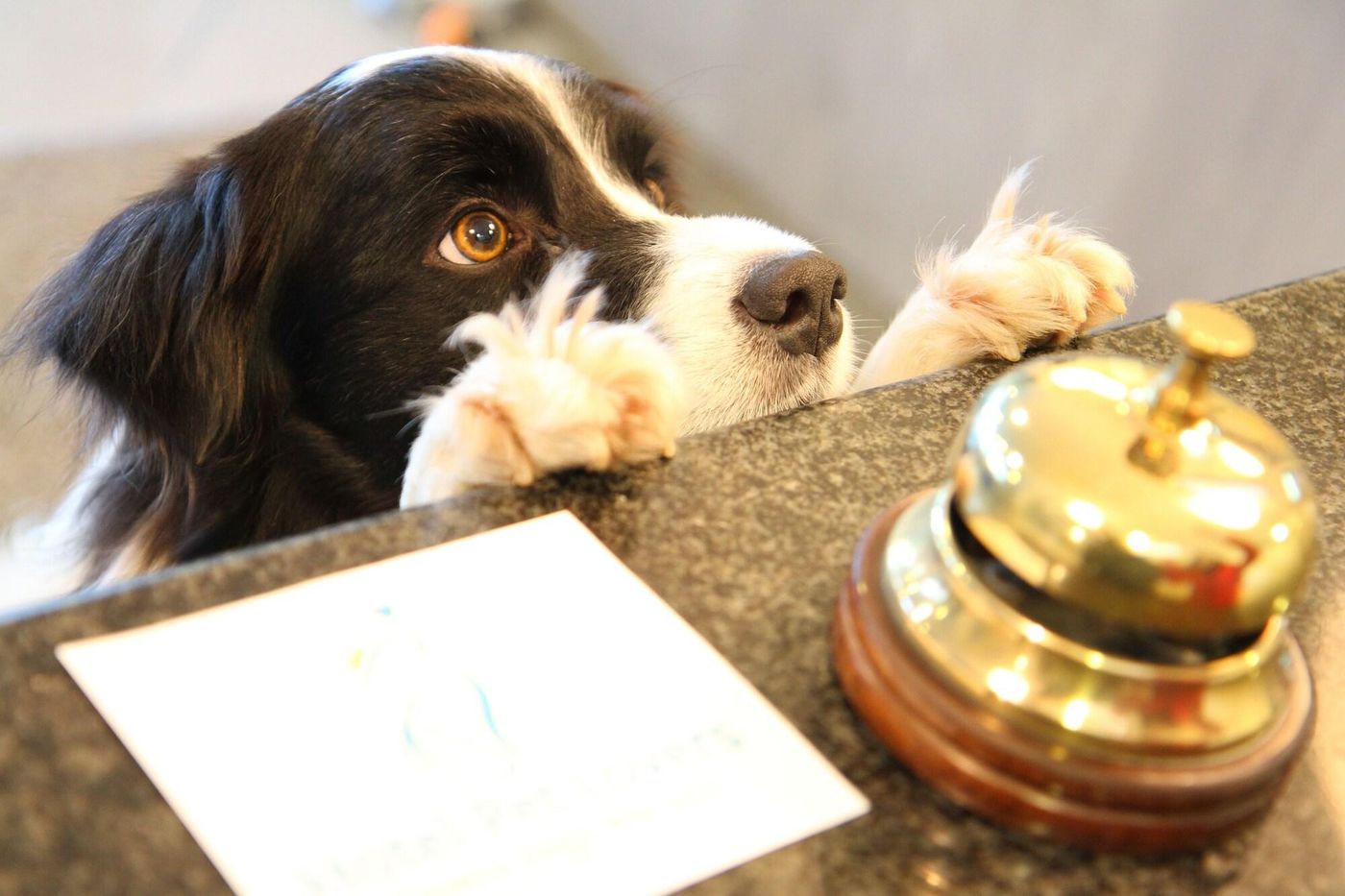 Hotel-Marina-Room-11