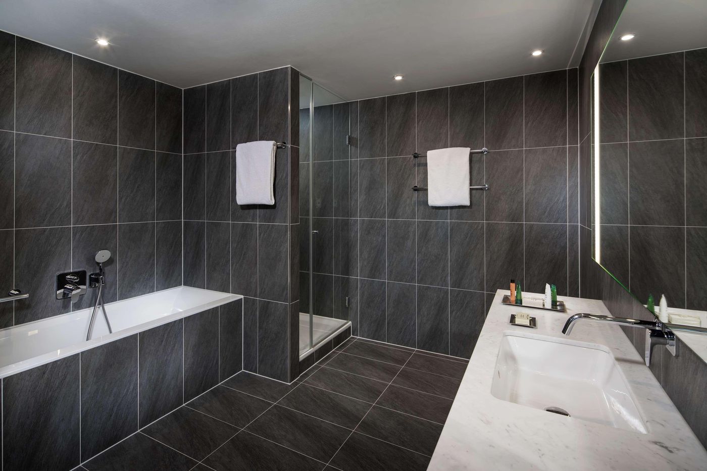 Hilton Vienna Plaza - Austria - VIENNA - Room - 14