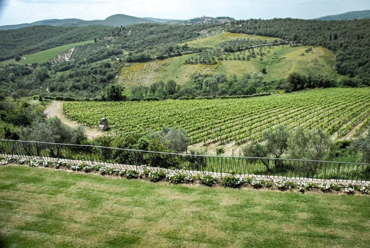 Villa-Vistarenni-General-view-6