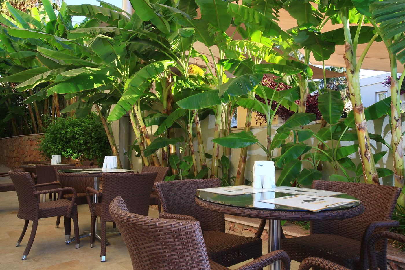 Mandarin-Resort-Bodrum-Bar-25