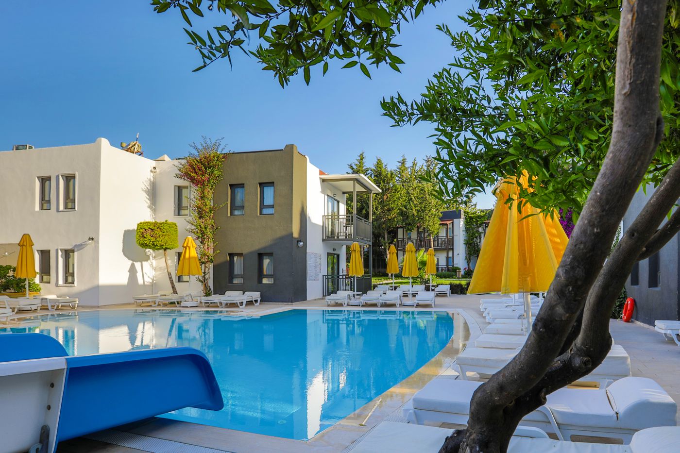 Bitez-Garden-Life-Pool-2