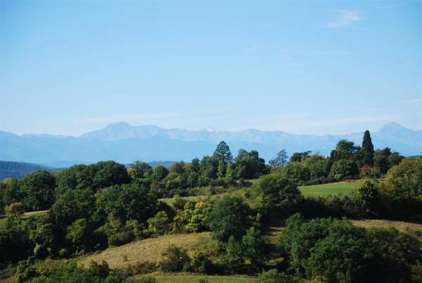 Hotel Le Saint Laurent-France-AVIGNON-General view-5
