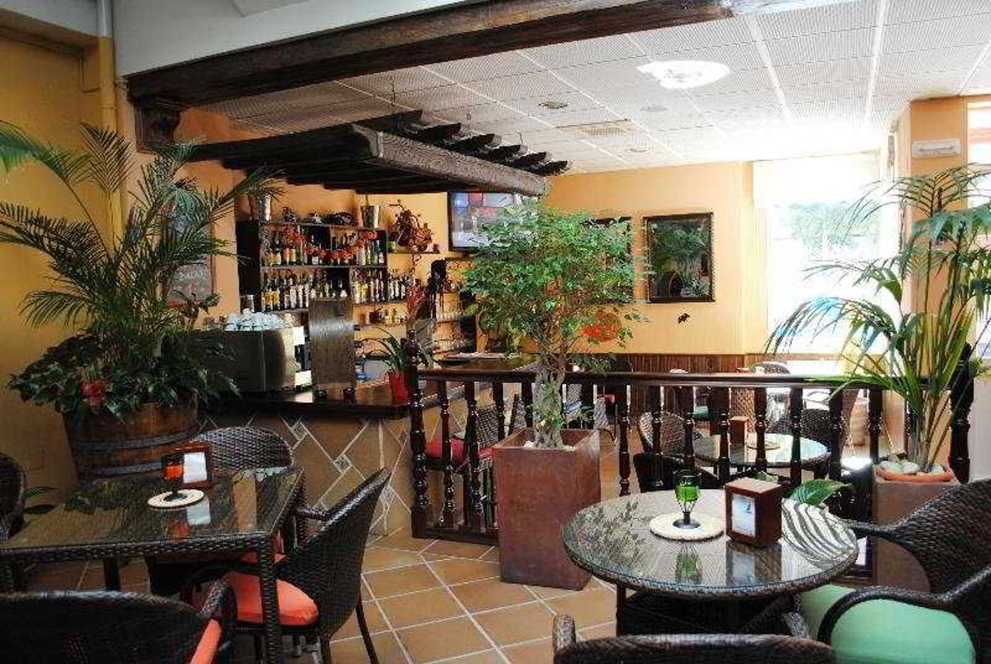 Maria-Cristina-Bar-9