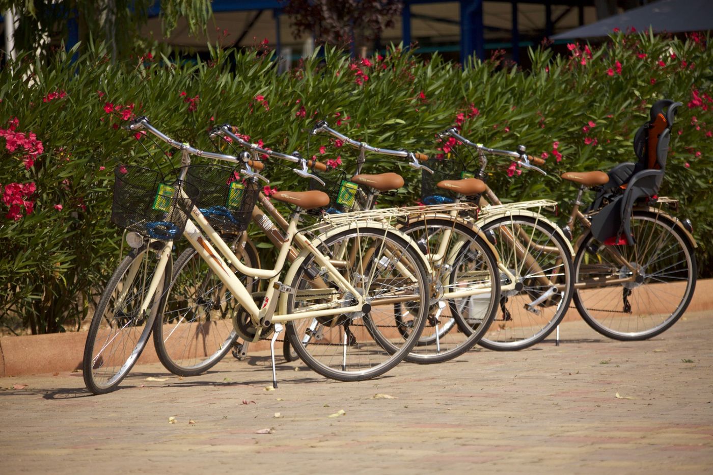 Camping-Village-Laguna-Blu-Sports-and-Entertainment-17