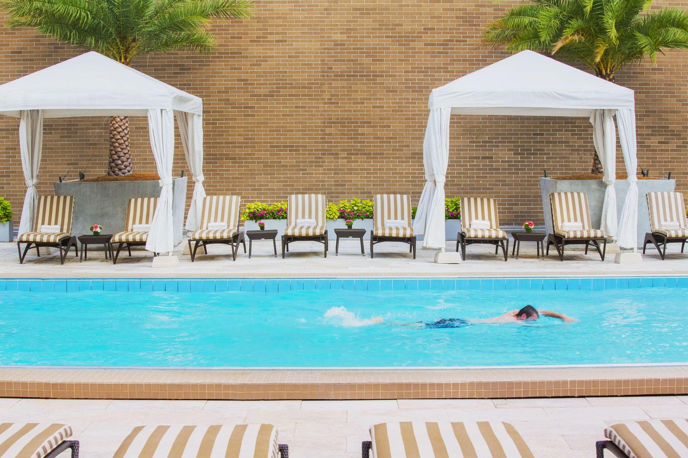 Hyatt Regency New Orleans - United States - NEW ORLEANS - Pool - 2