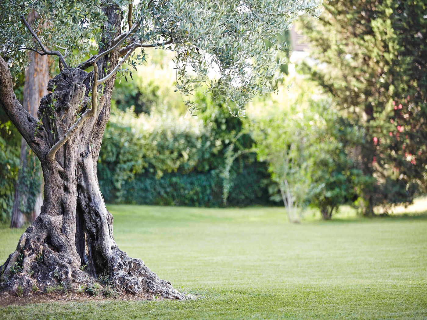 Novotel-Madrid-Center-General-view-83