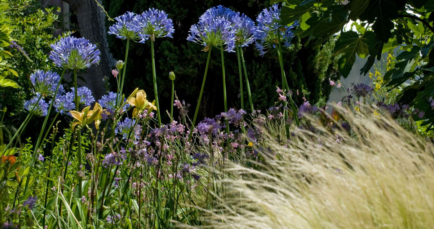 Hotel-Lucrezia-General-view-3