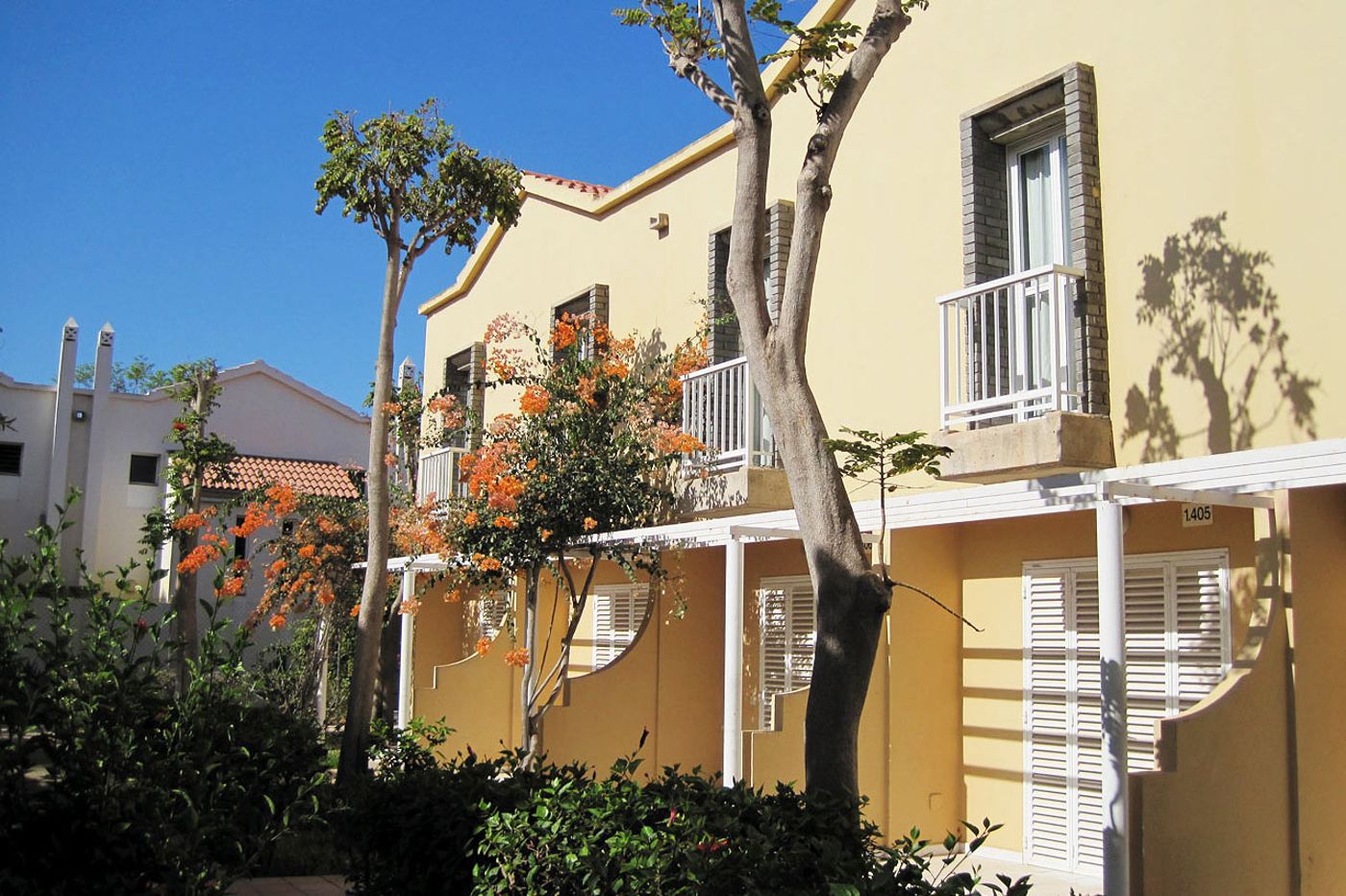 Club Green Oasis Maspalomas