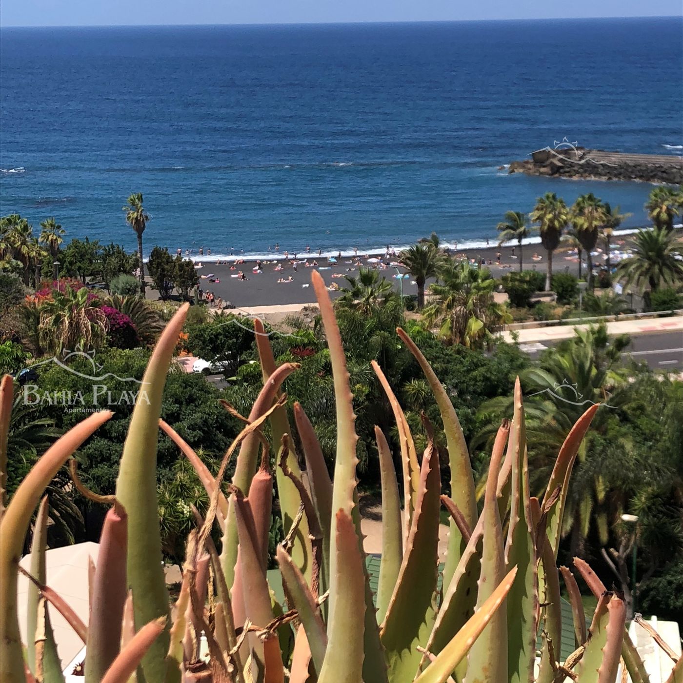 Bahia-Playa-General-view-39