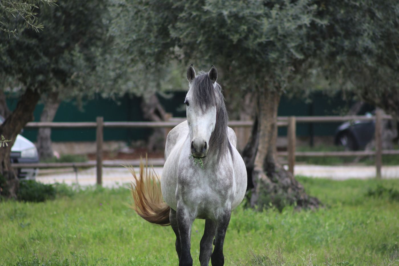 Casa-Do-Governador-Sports-and-Entertainment-64