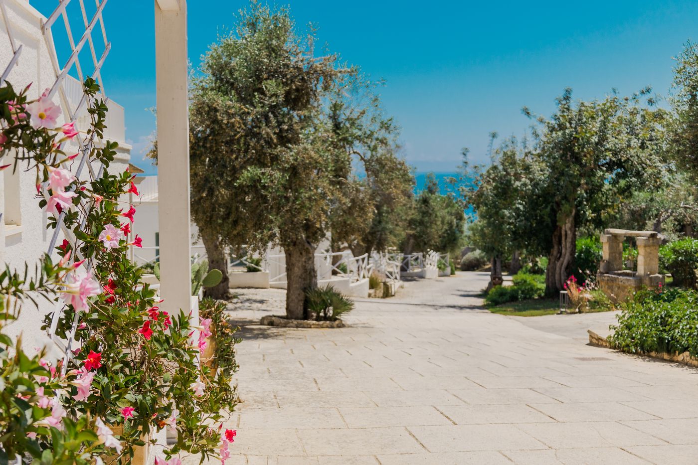 Marenea Suite Hotel - CDS Hotels-Italy-Marina di Marittima, Diso (LE)-General view-1